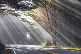 Fog rays on Hwy 1-3010 Fog rays on Hwy 1-3010